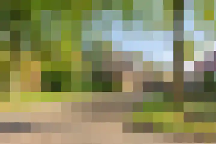 Mr. W.M. Oppedijk van Veenweg 66 Burgum thumbnail 36