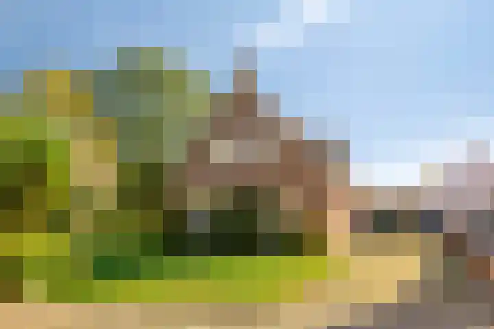 Mr. W.M. Oppedijk van Veenweg 66 Burgum thumbnail 38