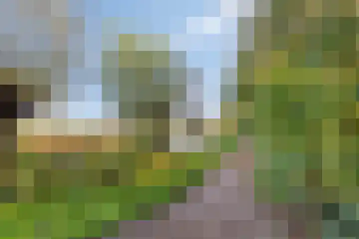 Mr. W.M. Oppedijk van Veenweg 66 Burgum thumbnail 39