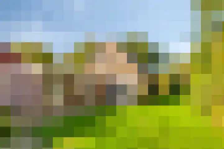 Mr. W.M. Oppedijk van Veenweg 66 Burgum thumbnail 5