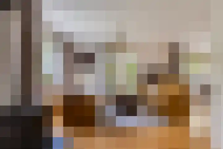 Mr. W.M. Oppedijk van Veenweg 66 Burgum thumbnail 7