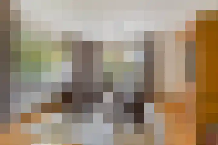 Mr. W.M. Oppedijk van Veenweg 66 Burgum thumbnail 9