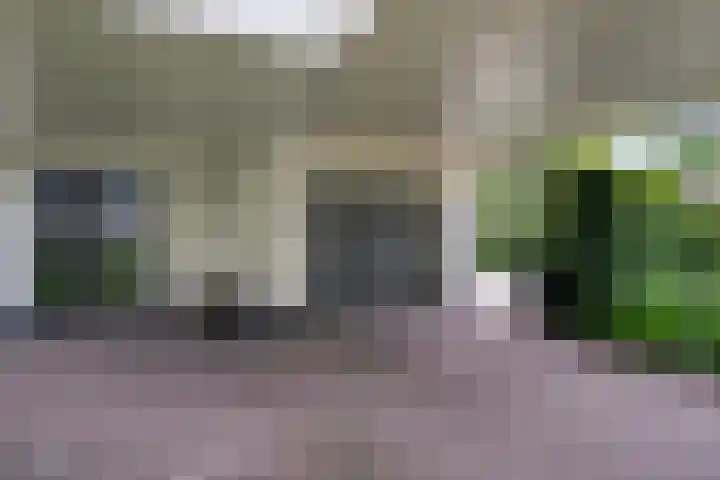 Mr. Zacharias Tijllaan 6 Dedemsvaart thumbnail 10