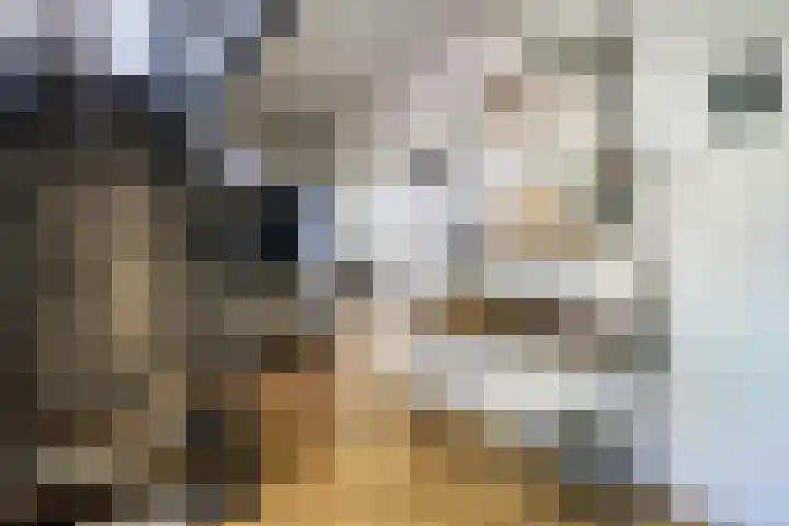 Mr. Zacharias Tijllaan 6 Dedemsvaart thumbnail 11