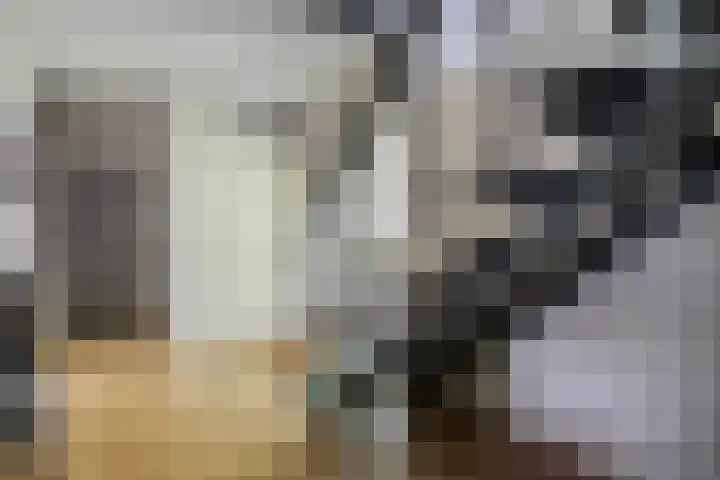 Mr. Zacharias Tijllaan 6 Dedemsvaart thumbnail 12