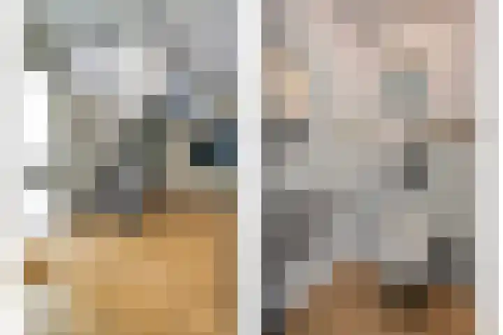 Mr. Zacharias Tijllaan 6 Dedemsvaart thumbnail 13