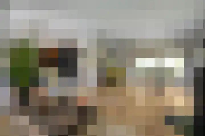 Mr. Zacharias Tijllaan 6 Dedemsvaart thumbnail 15