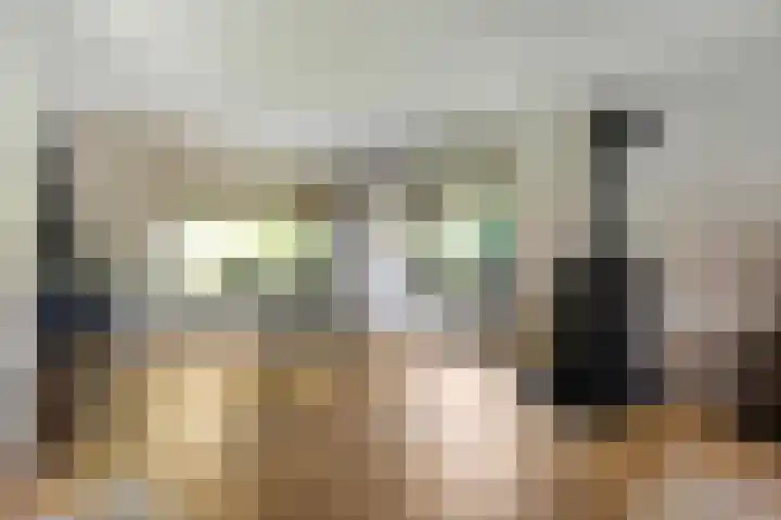 Mr. Zacharias Tijllaan 6 Dedemsvaart thumbnail 16