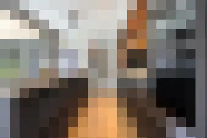 Mr. Zacharias Tijllaan 6 Dedemsvaart thumbnail 18
