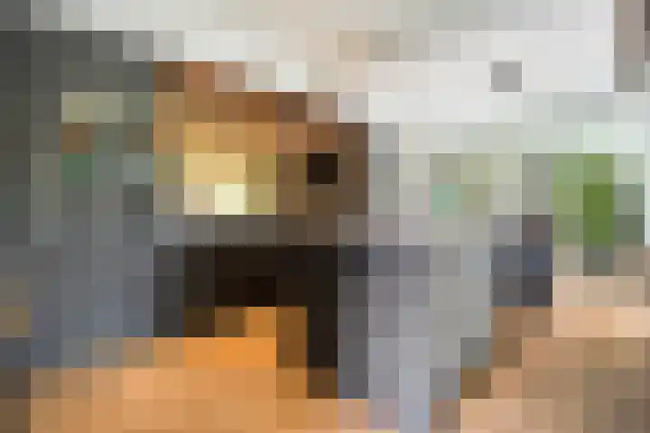 Mr. Zacharias Tijllaan 6 Dedemsvaart thumbnail 19