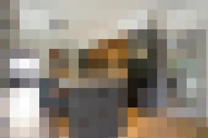 Mr. Zacharias Tijllaan 6 Dedemsvaart thumbnail 20