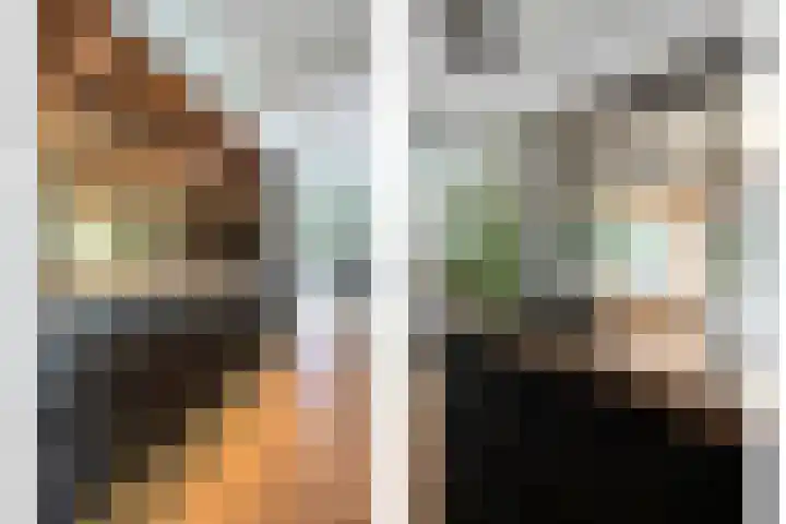 Mr. Zacharias Tijllaan 6 Dedemsvaart thumbnail 21