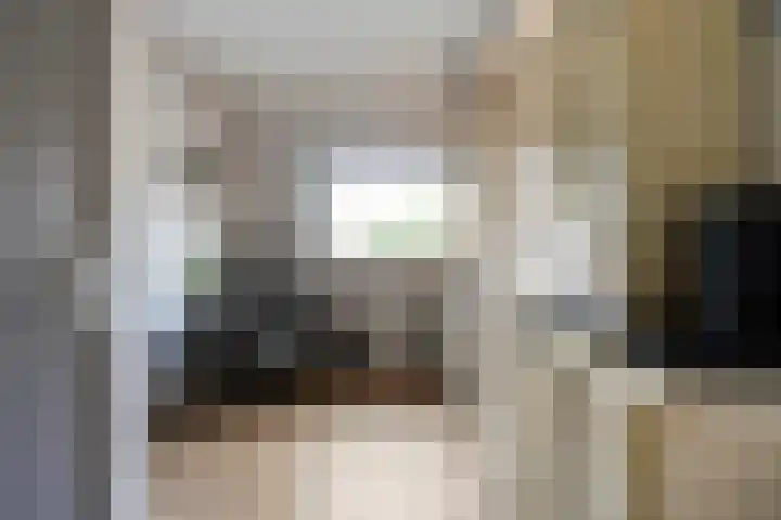 Mr. Zacharias Tijllaan 6 Dedemsvaart thumbnail 22