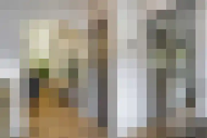 Mr. Zacharias Tijllaan 6 Dedemsvaart thumbnail 23