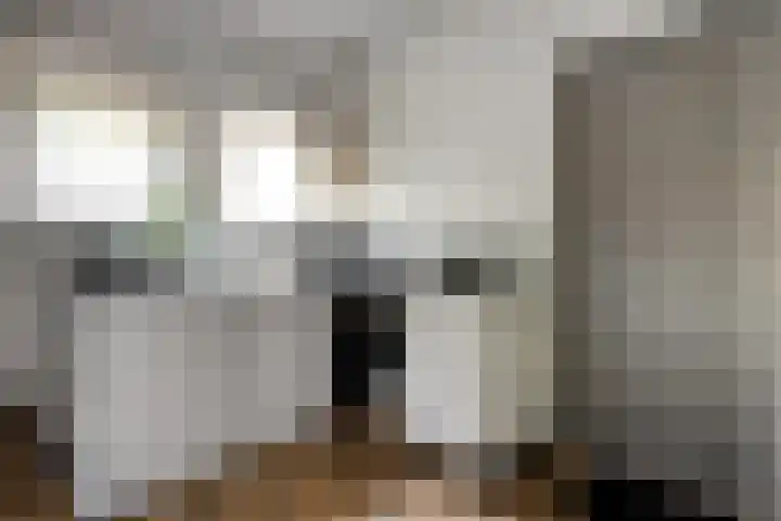 Mr. Zacharias Tijllaan 6 Dedemsvaart thumbnail 24
