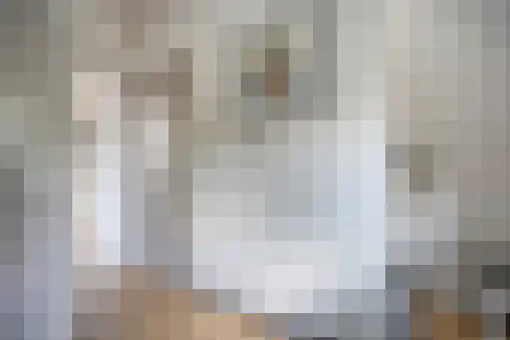 Mr. Zacharias Tijllaan 6 Dedemsvaart thumbnail 25