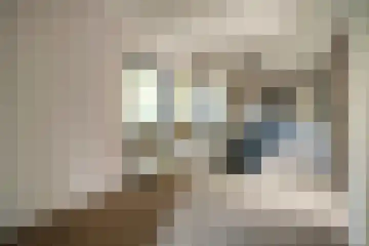 Mr. Zacharias Tijllaan 6 Dedemsvaart thumbnail 26