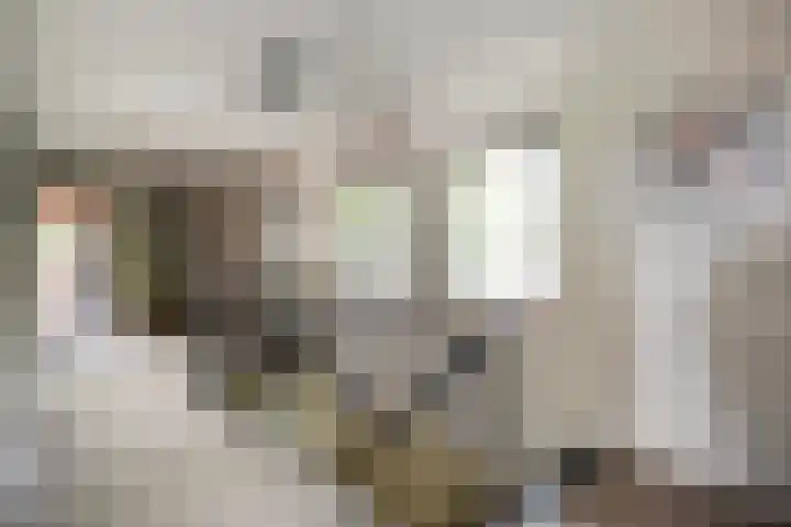 Mr. Zacharias Tijllaan 6 Dedemsvaart thumbnail 28