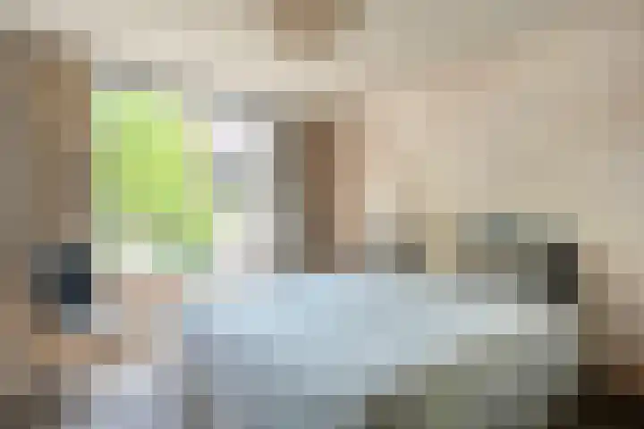 Mr. Zacharias Tijllaan 6 Dedemsvaart thumbnail 29