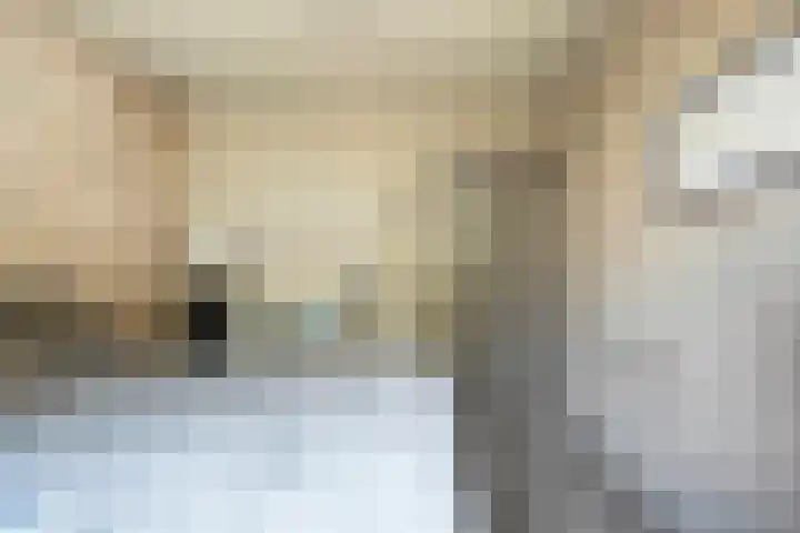 Mr. Zacharias Tijllaan 6 Dedemsvaart thumbnail 30