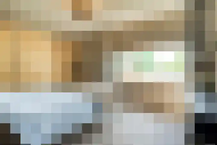 Mr. Zacharias Tijllaan 6 Dedemsvaart thumbnail 31
