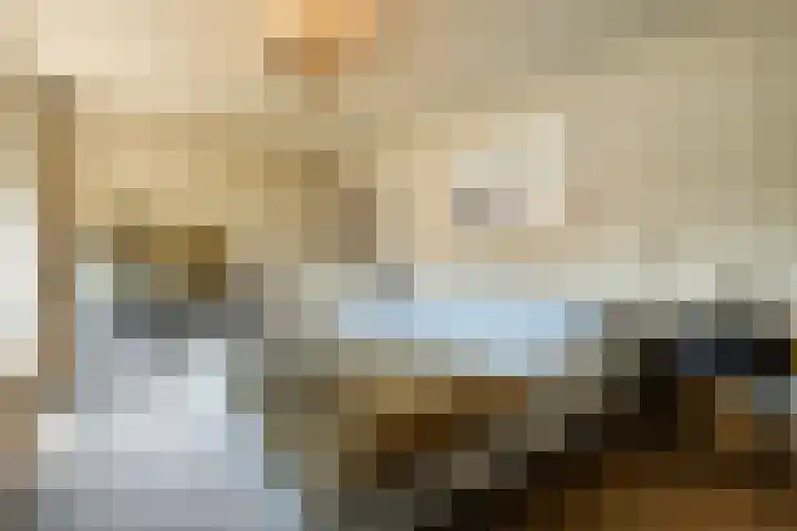 Mr. Zacharias Tijllaan 6 Dedemsvaart thumbnail 32