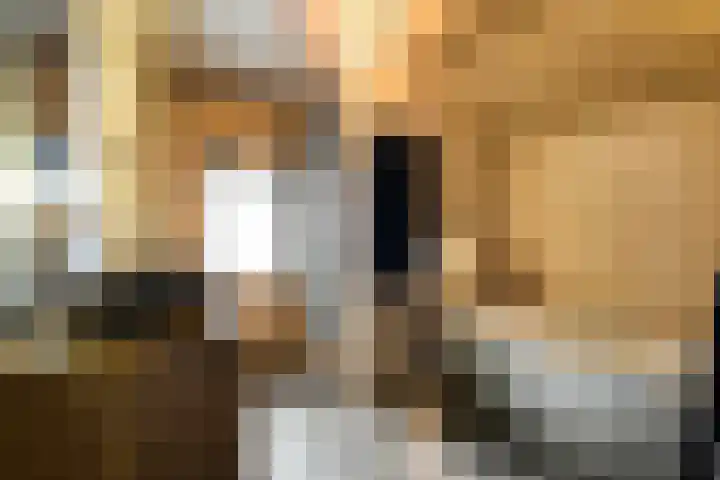 Mr. Zacharias Tijllaan 6 Dedemsvaart thumbnail 33