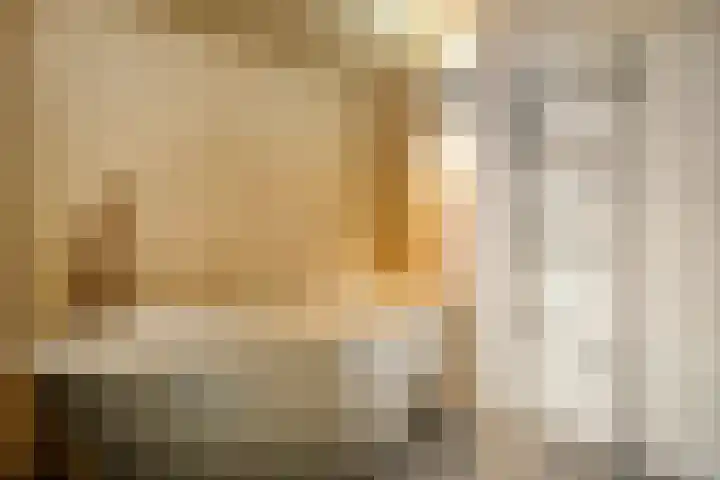 Mr. Zacharias Tijllaan 6 Dedemsvaart thumbnail 34