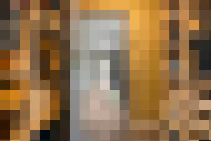 Mr. Zacharias Tijllaan 6 Dedemsvaart thumbnail 37