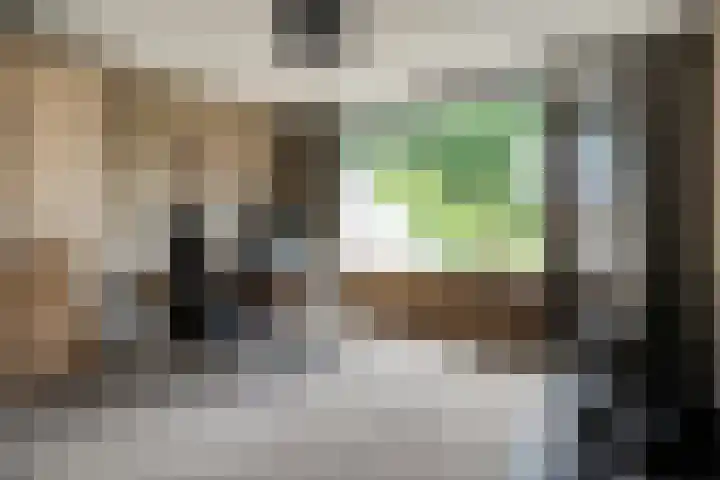 Mr. Zacharias Tijllaan 6 Dedemsvaart thumbnail 38