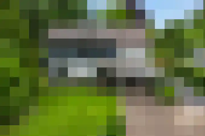Mr. Zacharias Tijllaan 6 Dedemsvaart thumbnail 4