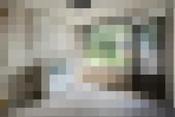 Mr. Zacharias Tijllaan 6 Dedemsvaart thumbnail 40