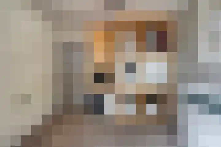 Mr. Zacharias Tijllaan 6 Dedemsvaart thumbnail 41