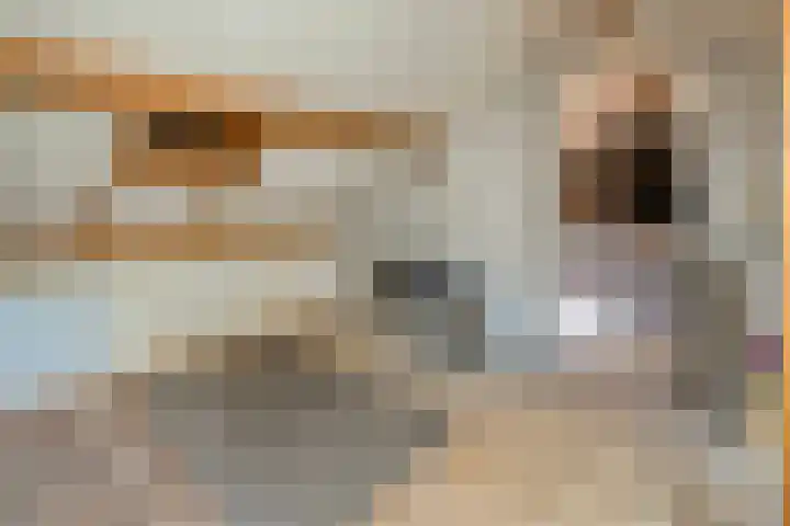Mr. Zacharias Tijllaan 6 Dedemsvaart thumbnail 42