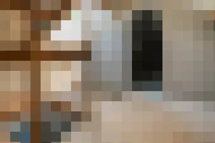 Mr. Zacharias Tijllaan 6 Dedemsvaart thumbnail 43
