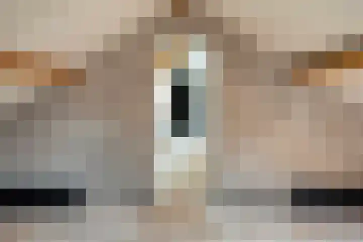 Mr. Zacharias Tijllaan 6 Dedemsvaart thumbnail 44
