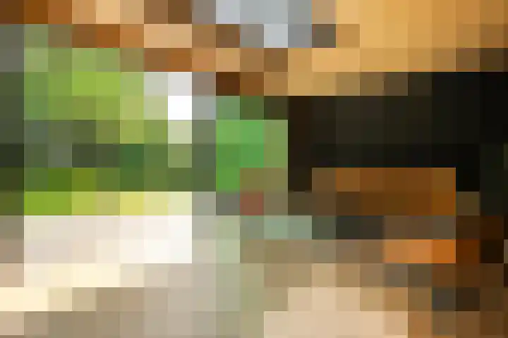 Mr. Zacharias Tijllaan 6 Dedemsvaart thumbnail 45