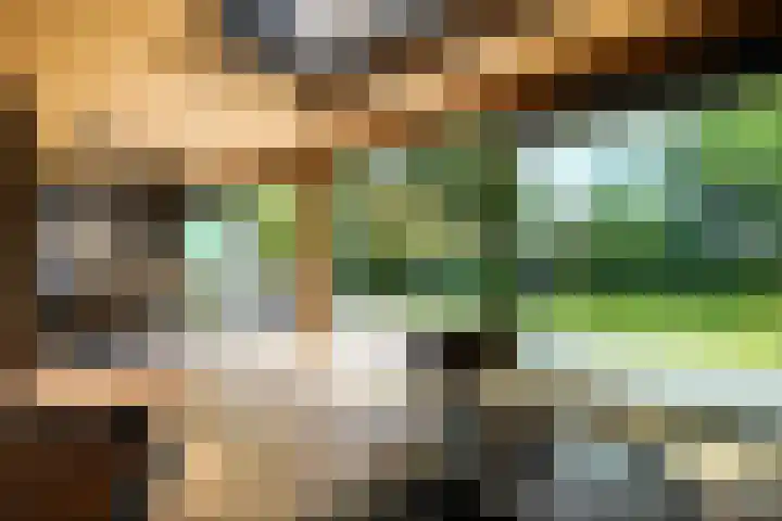 Mr. Zacharias Tijllaan 6 Dedemsvaart thumbnail 46