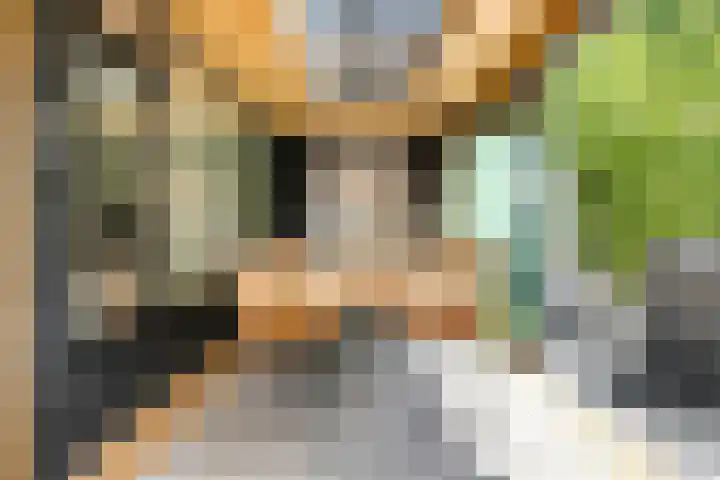 Mr. Zacharias Tijllaan 6 Dedemsvaart thumbnail 47