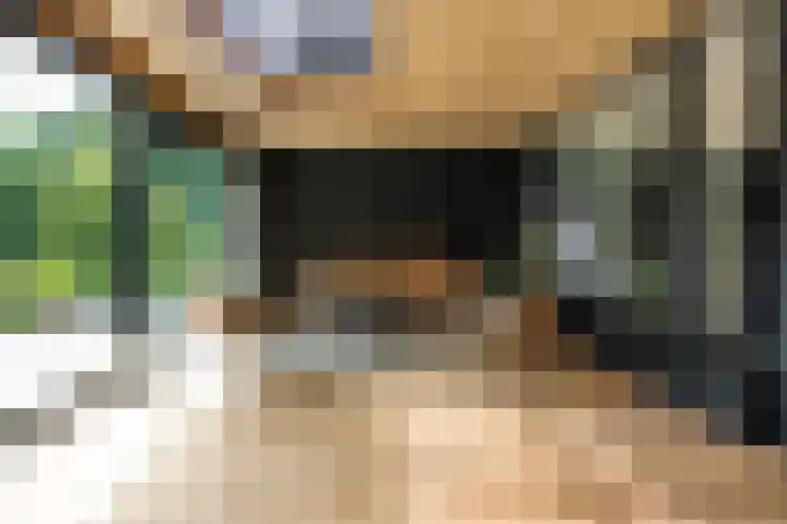 Mr. Zacharias Tijllaan 6 Dedemsvaart thumbnail 48