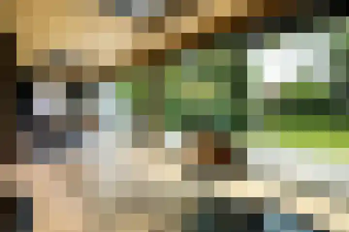 Mr. Zacharias Tijllaan 6 Dedemsvaart thumbnail 49