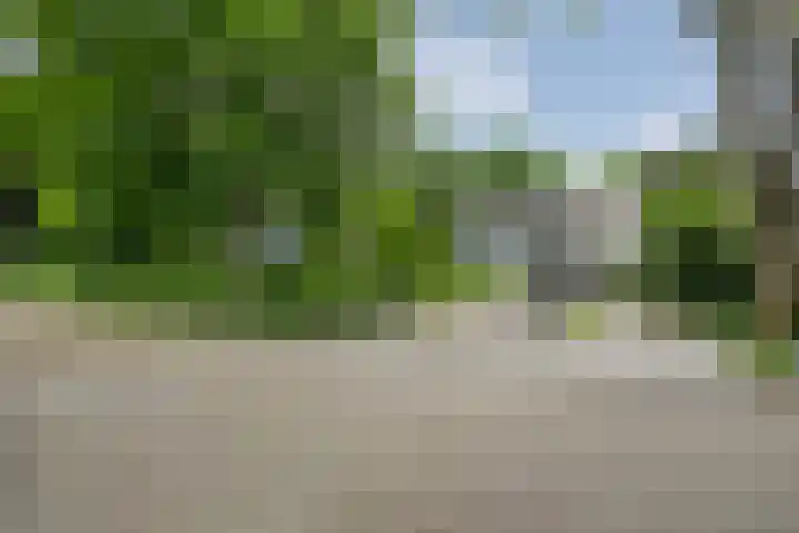 Mr. Zacharias Tijllaan 6 Dedemsvaart thumbnail 5