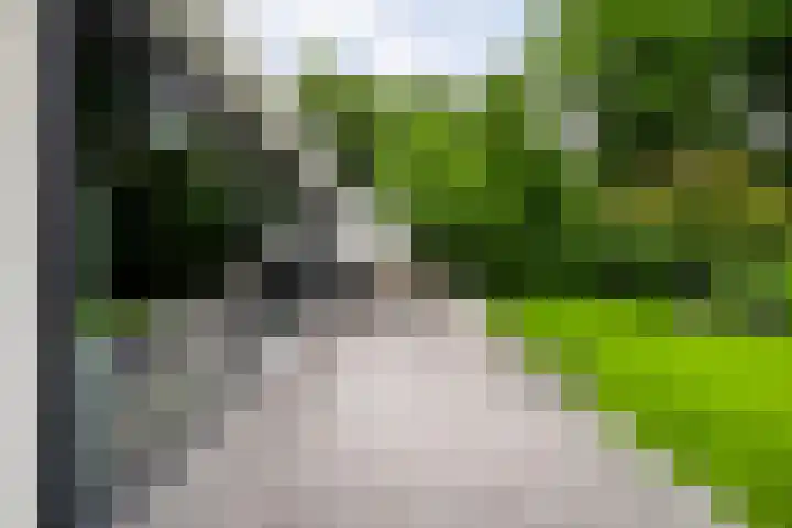Mr. Zacharias Tijllaan 6 Dedemsvaart thumbnail 51