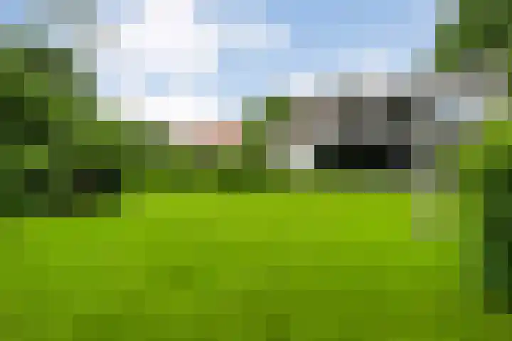 Mr. Zacharias Tijllaan 6 Dedemsvaart thumbnail 53