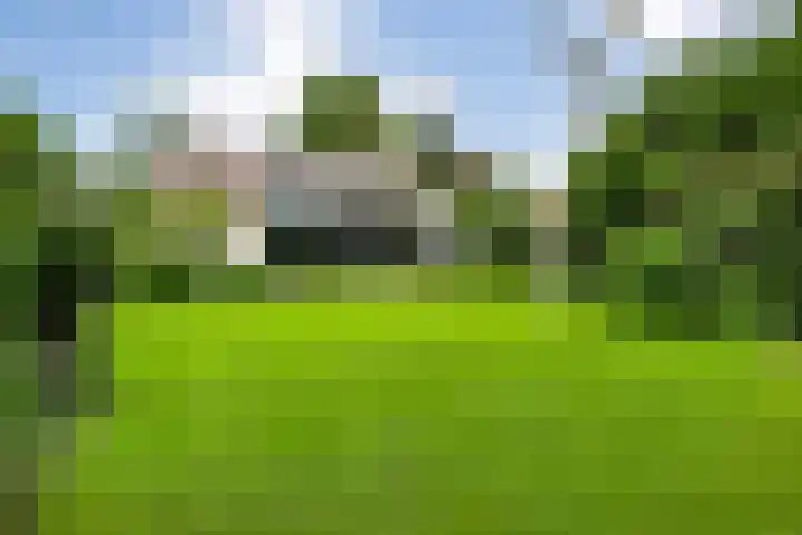 Mr. Zacharias Tijllaan 6 Dedemsvaart thumbnail 55