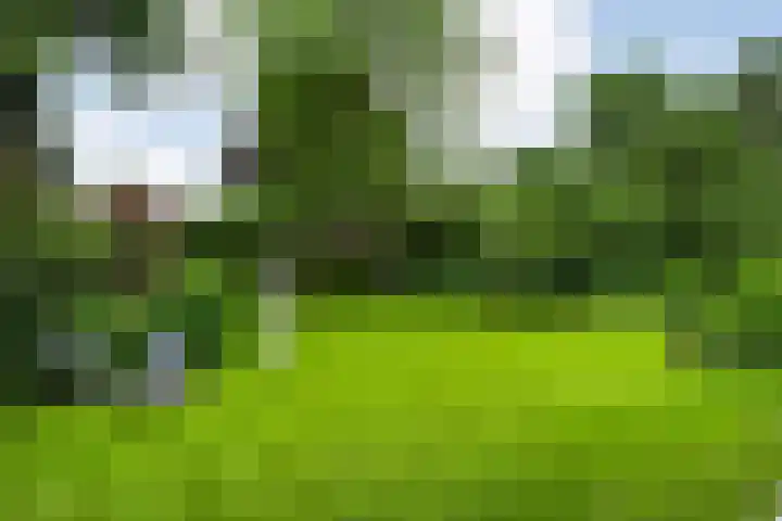 Mr. Zacharias Tijllaan 6 Dedemsvaart thumbnail 56