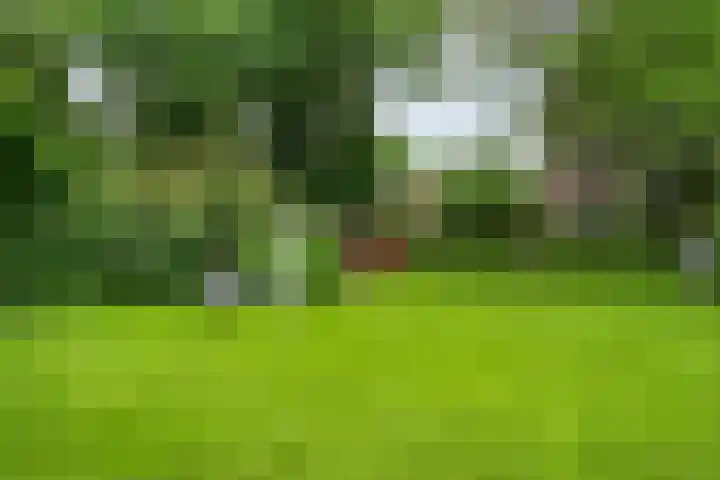Mr. Zacharias Tijllaan 6 Dedemsvaart thumbnail 57