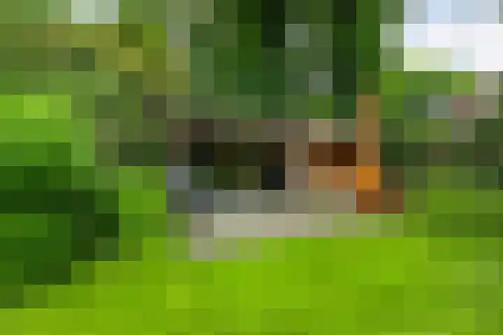 Mr. Zacharias Tijllaan 6 Dedemsvaart thumbnail 58