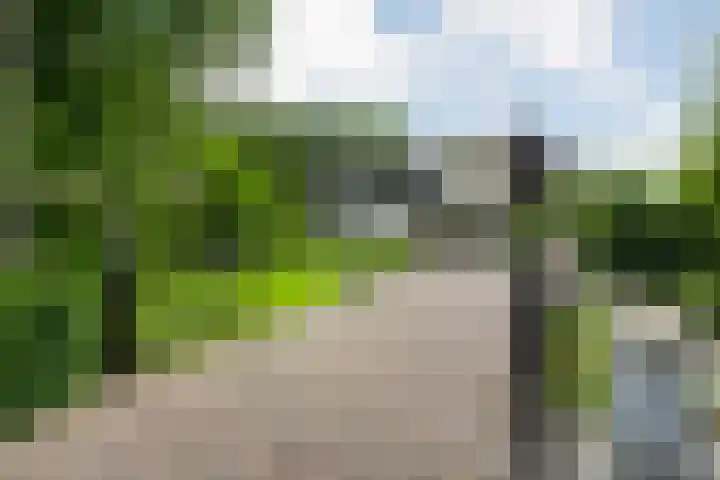 Mr. Zacharias Tijllaan 6 Dedemsvaart thumbnail 6