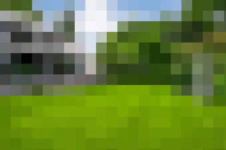Mr. Zacharias Tijllaan 6 Dedemsvaart thumbnail 60